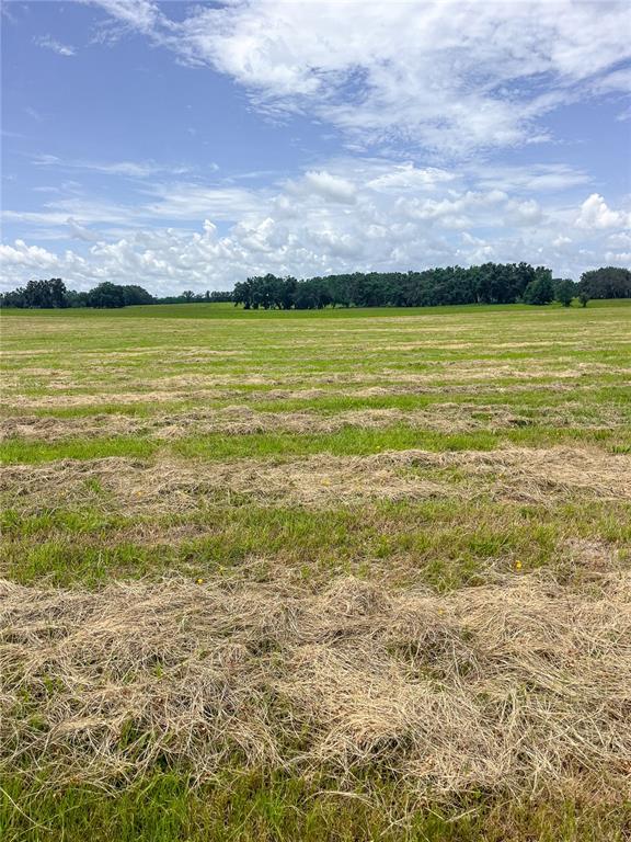 14720 40th Street Live Oak, FL 32060 - Photo 4 of 15 a view of an ocean and beach