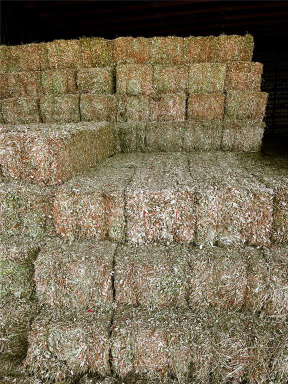 14720 40th Street Live Oak, FL 32060 - Photo 6 of 15 a bathroom with a shower