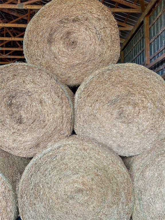 14720 40th Street Live Oak, FL 32060 - Photo 7 of 15 a close view of a fireplace in empty room