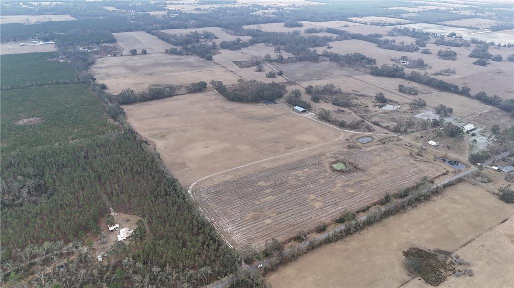 14720 40th Street Live Oak, FL 32060 - Photo 8 of 15 a view of a wooden floor
