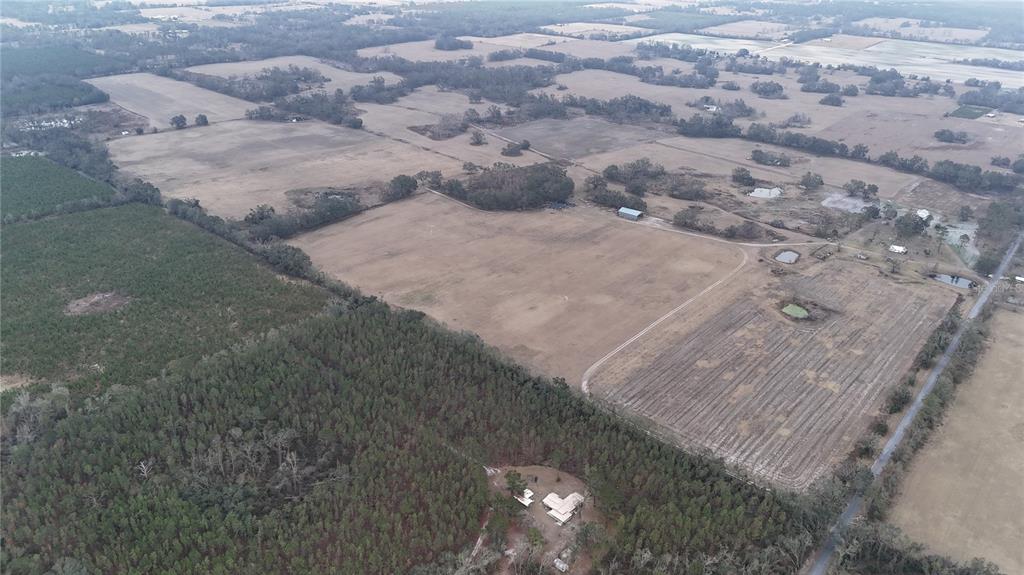 14720 40th Street Live Oak, FL 32060 - Photo 9 of 15 a view of lot of trees
