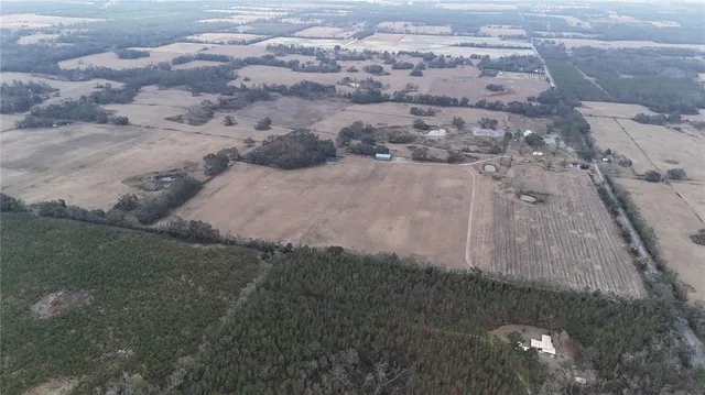 a view of a dry yard