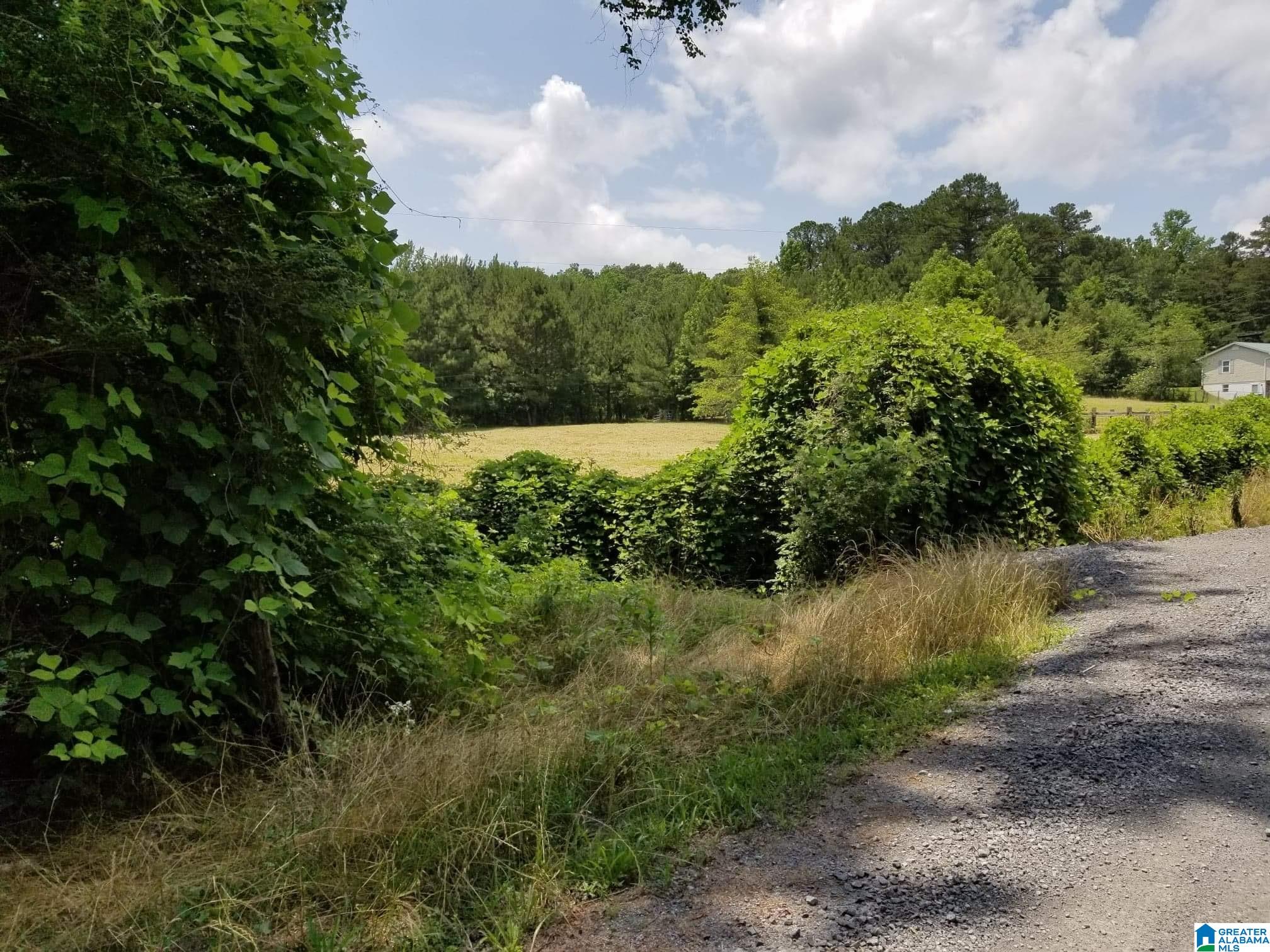 Honeycutt Road Remlap, AL 35133 - Photo 16 of 24