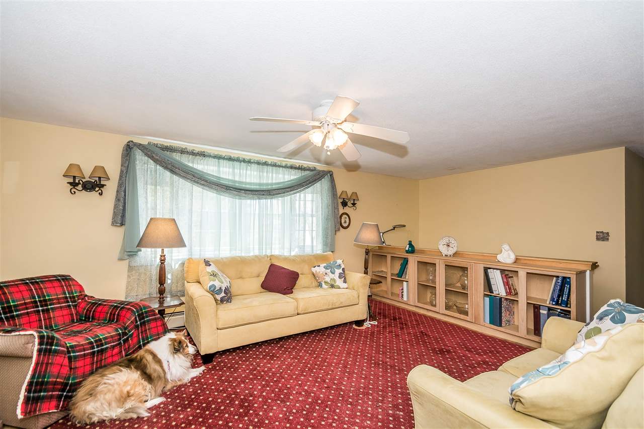 5 Kim Road Salem, NH 03079 - Photo 4 of 25 Gallery Image 4