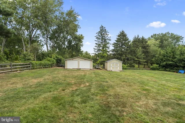 a view of a field with a tree