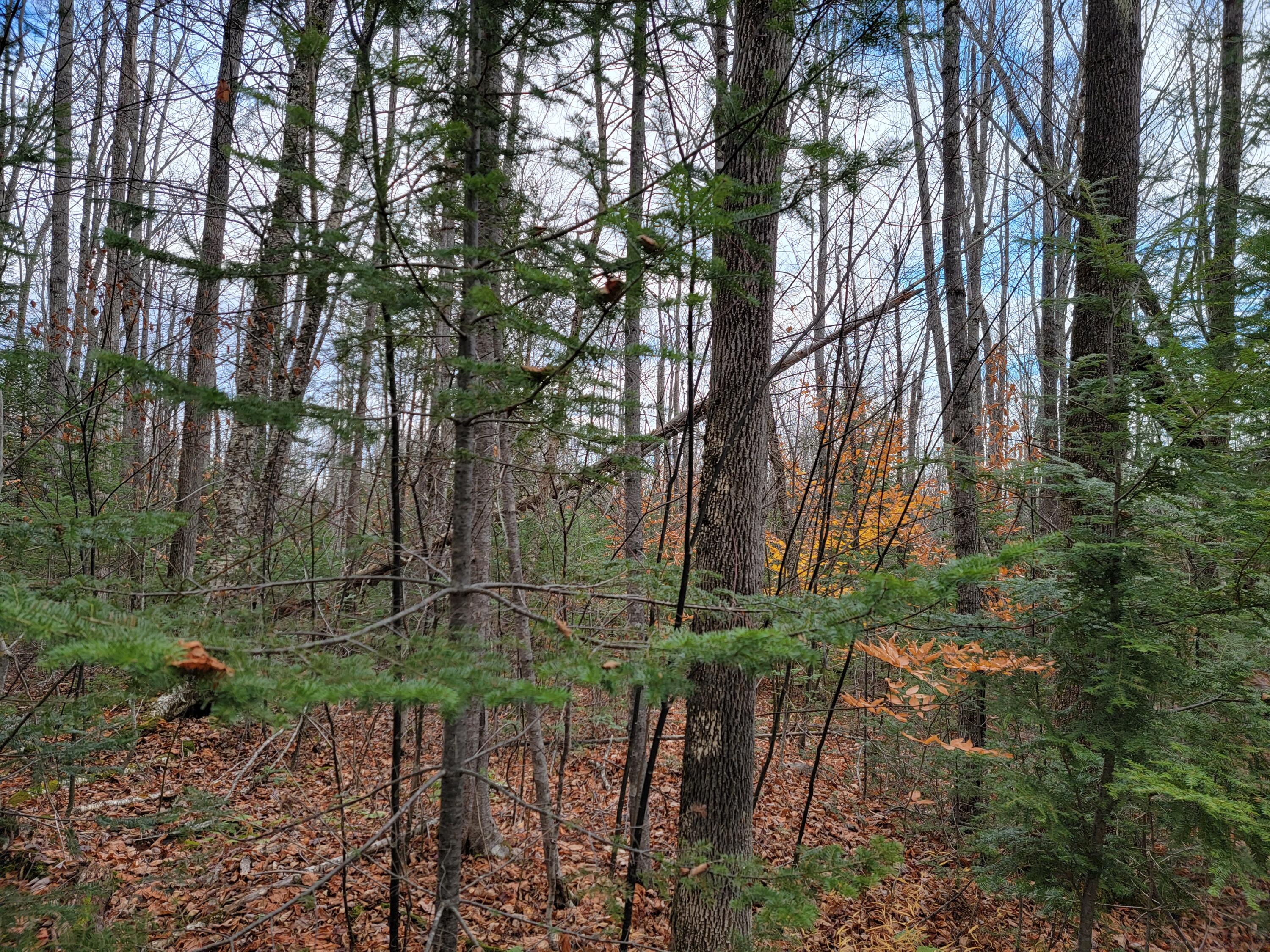 M9-l13 Middle Road New Portland, ME 04961 - Photo 11 of 23 20211102_140552