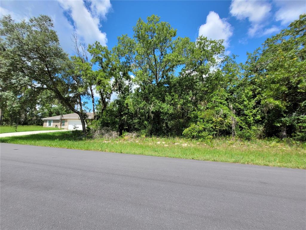0 Southwest 57th Terrace Road Ocala, FL 34473 - Photo 5 of 13
