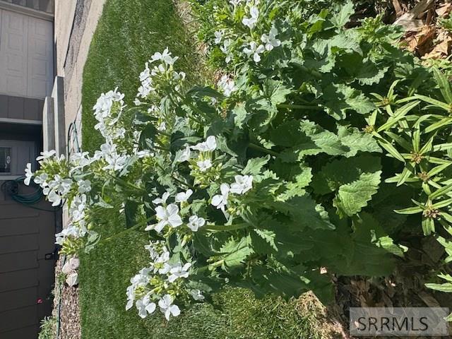 1016 Gray Avenue Pocatello, ID 83201 - Photo 35 of 35