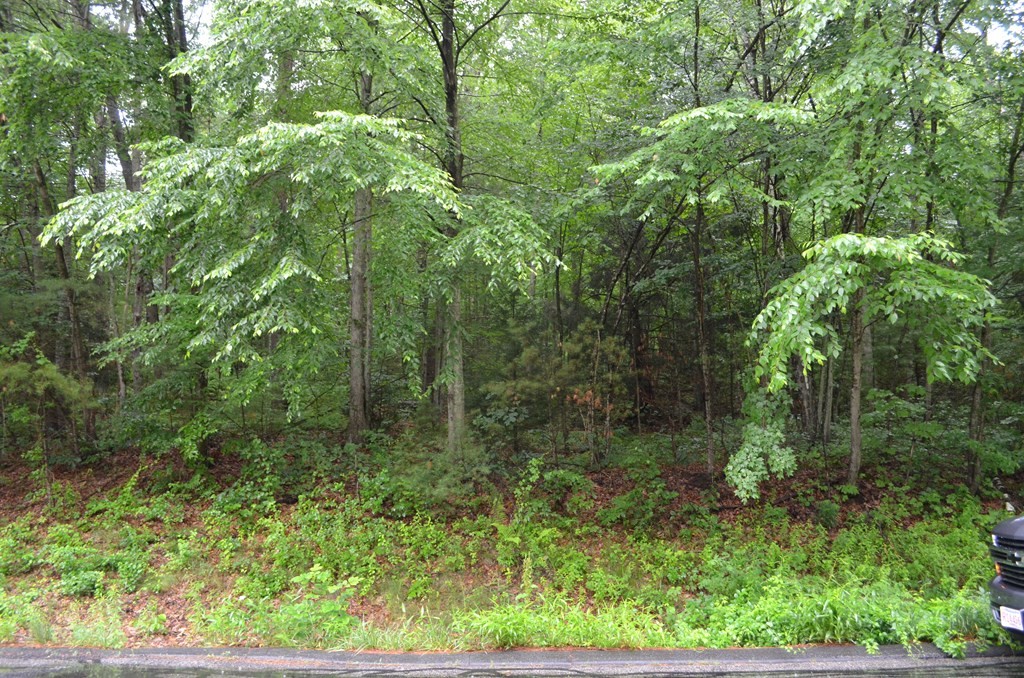 34 Coffey Hill Road Ware, MA 01082 - Photo 3 of 4 a view of a garden