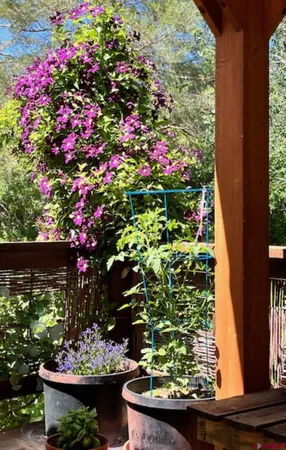 a bedroom with a bed dresser and a window