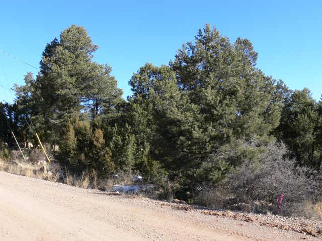 3447 Top View Road, Unit 369 Overgaard, AZ 85933 - Photo 1 of 3 Primary Photo