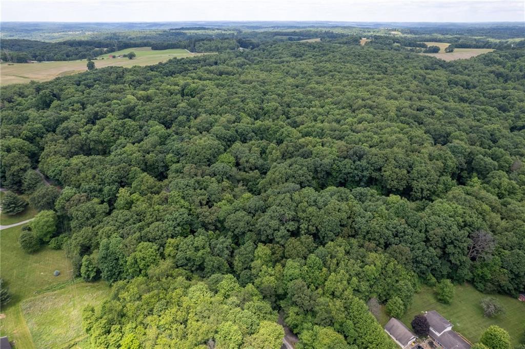 0 Dehaven Road Beaver Falls, PA 15010 - Photo 5 of 9 a view of a forest with a street