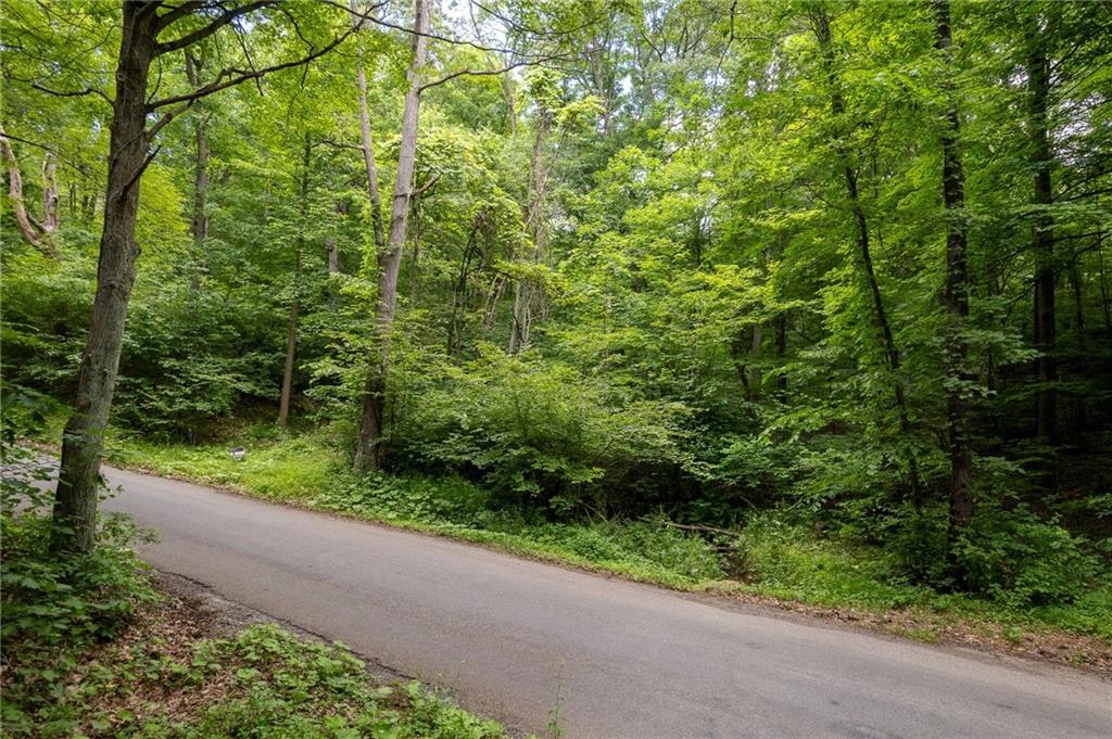 0 Dehaven Road Beaver Falls, PA 15010 - Photo 7 of 9 a view of a yard with plants and a small yard