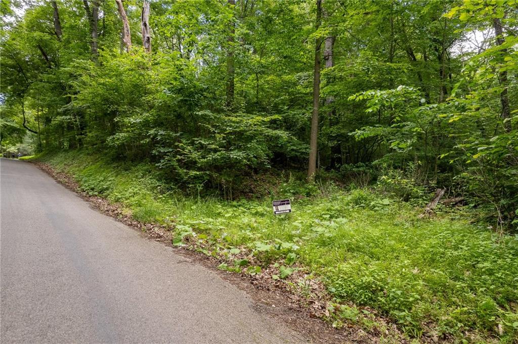 0 Dehaven Road Beaver Falls, PA 15010 - Photo 8 of 9 a view of a garden with plants