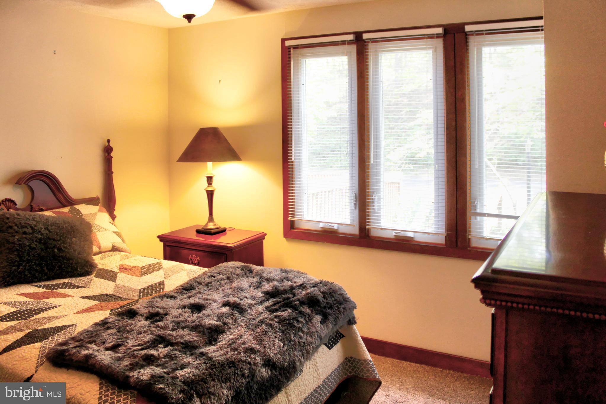 361 The Hill Road, Unit M4 Basye, VA 22810 - Photo 15 of 19 a bedroom with a bed and two window