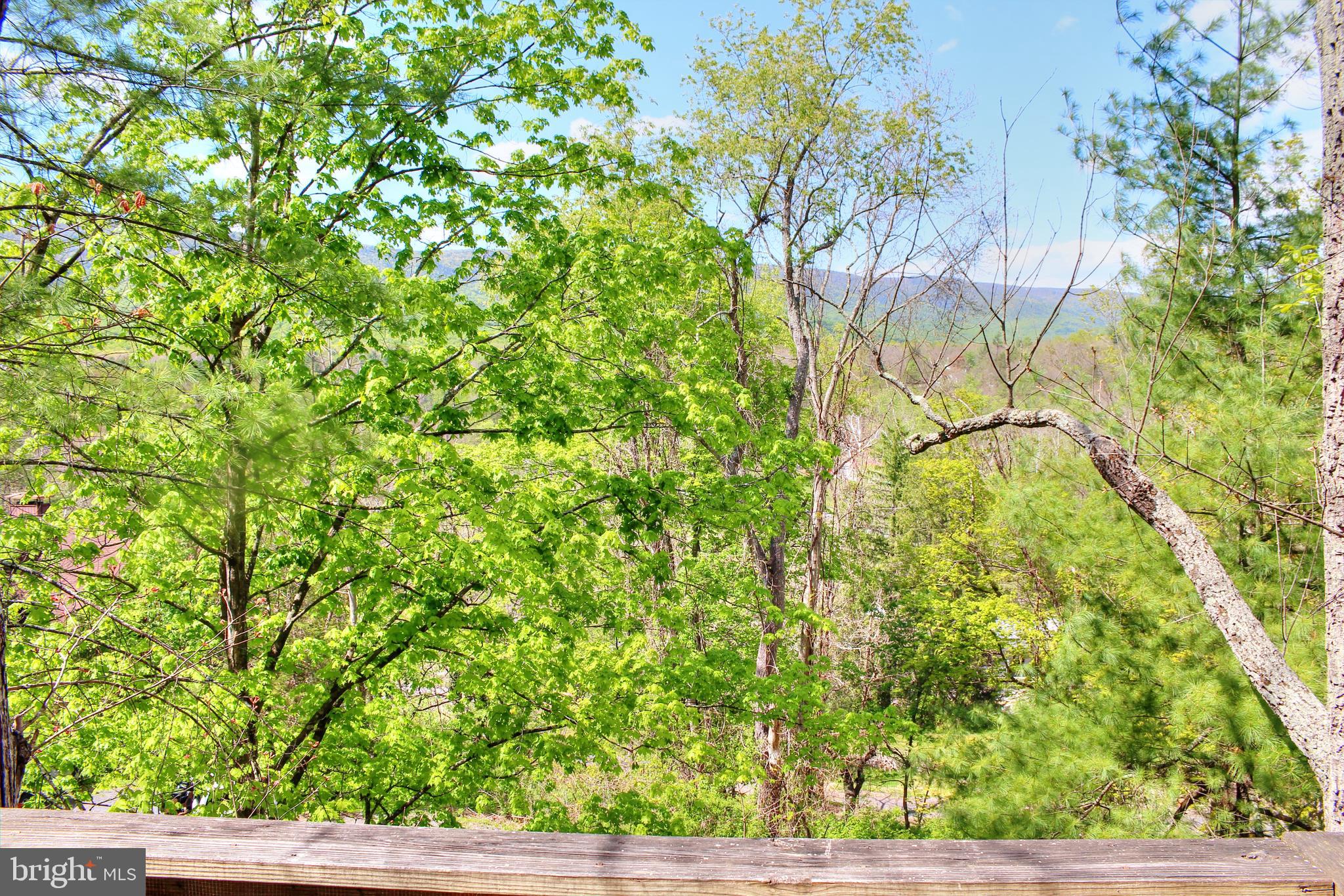 361 The Hill Road, Unit M4 Basye, VA 22810 - Photo 18 of 19 a view of yard