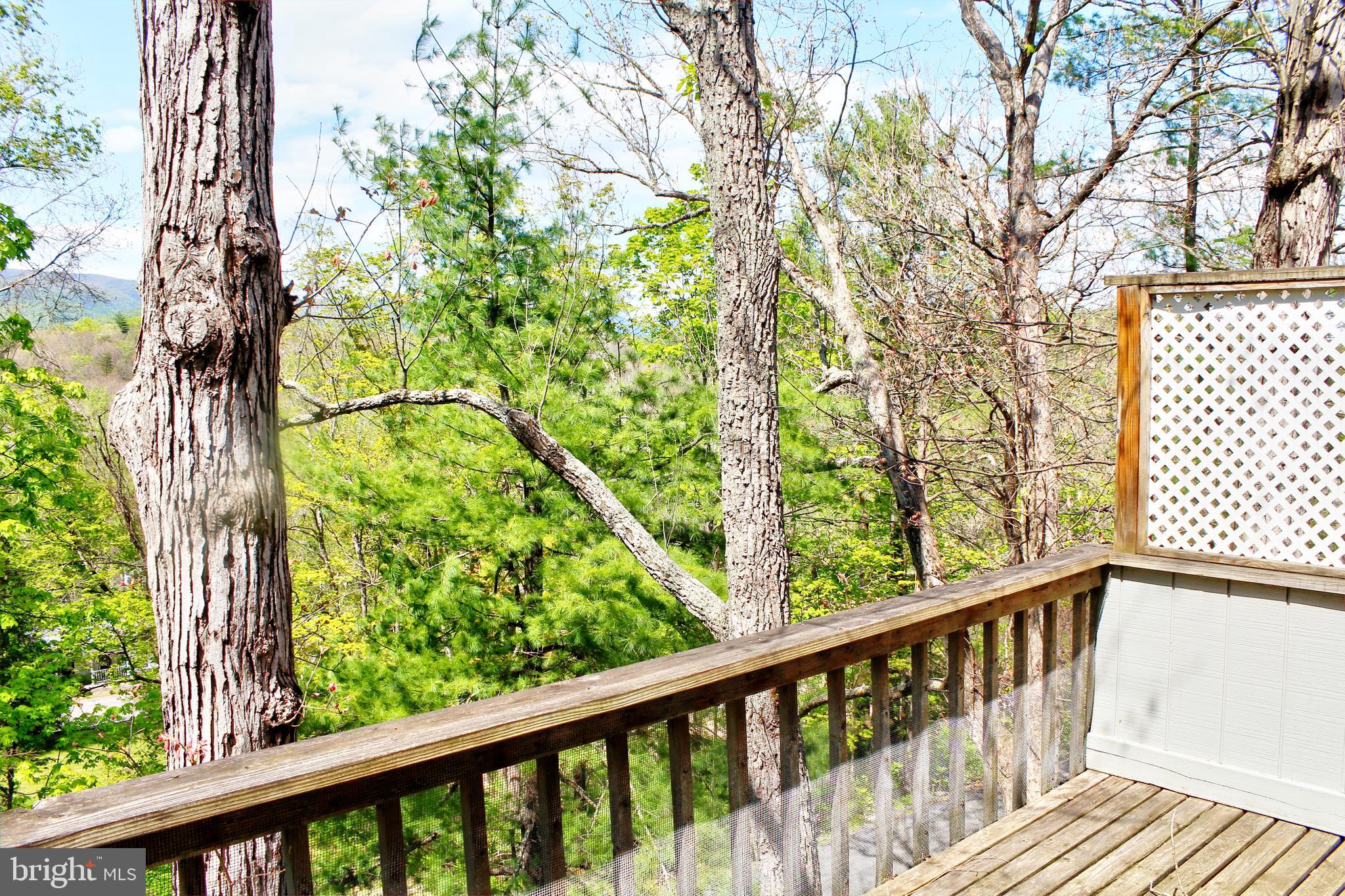 361 The Hill Road, Unit M4 Basye, VA 22810 - Photo 19 of 19 a view of a balcony with wooden floor and fence