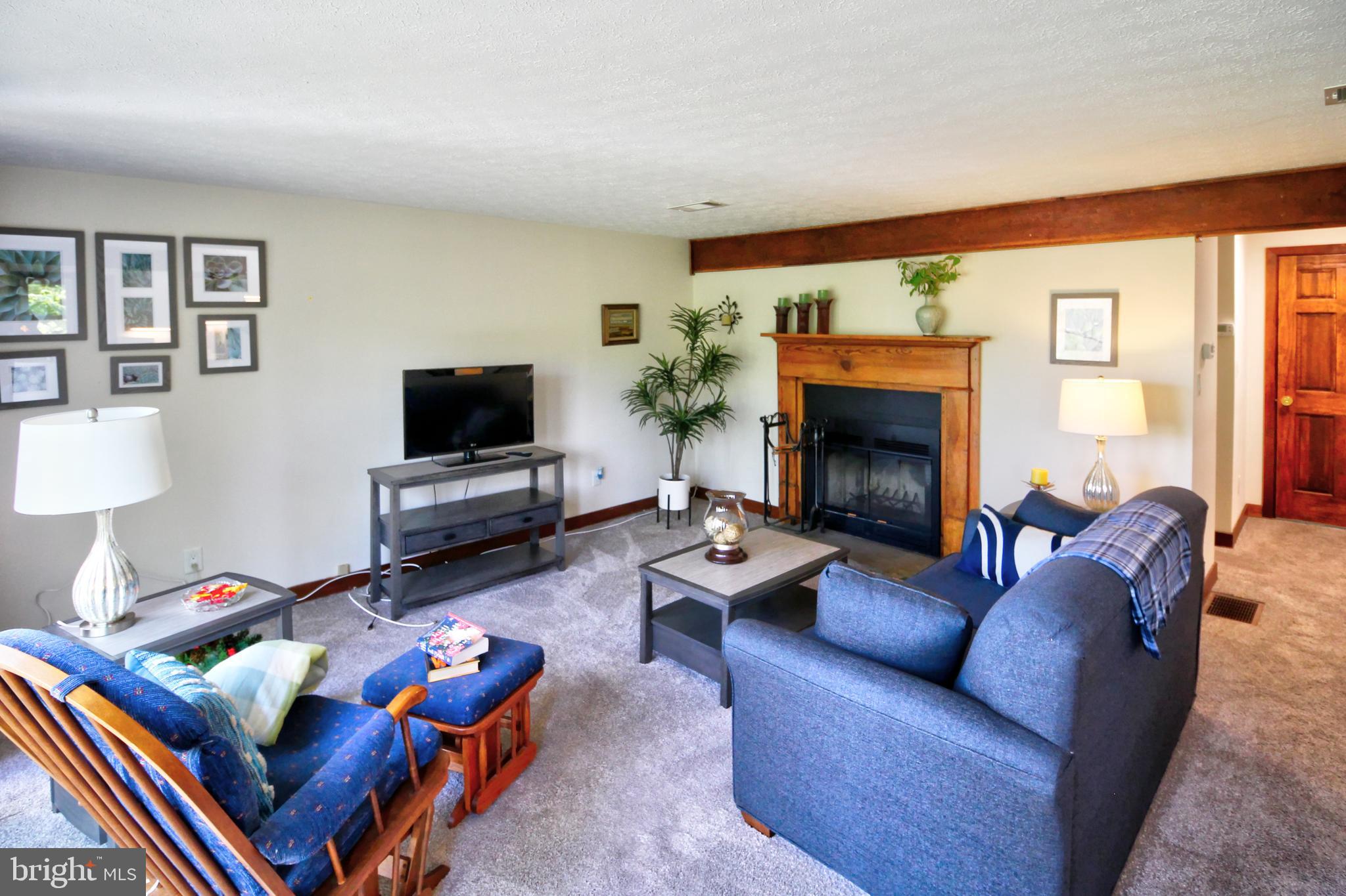 361 The Hill Road, Unit M4 Basye, VA 22810 - Photo 2 of 19 a living room with furniture a flat screen tv and a fireplace
