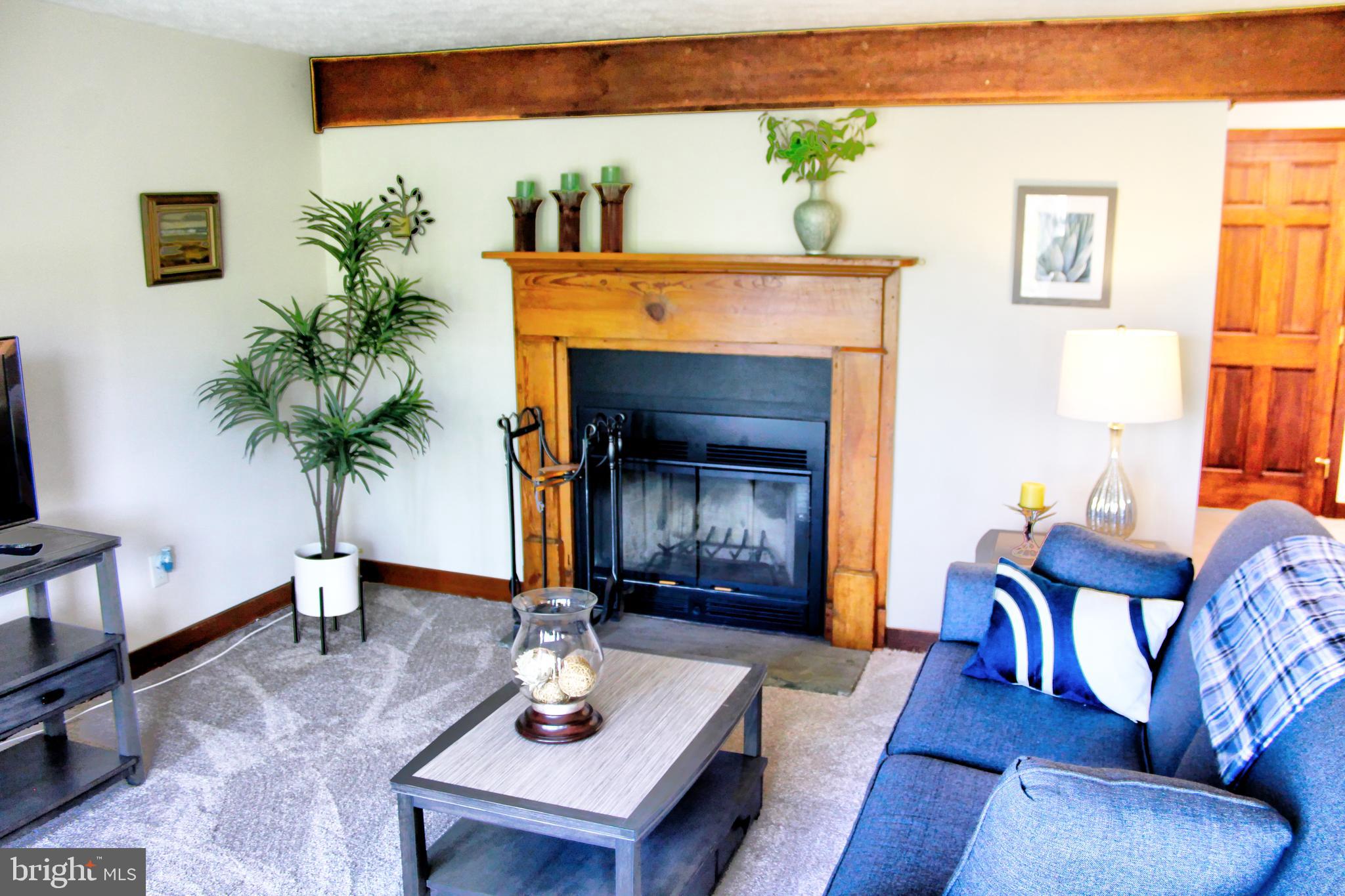 361 The Hill Road, Unit M4 Basye, VA 22810 - Photo 3 of 19 a living room with furniture potted plant and a fireplace