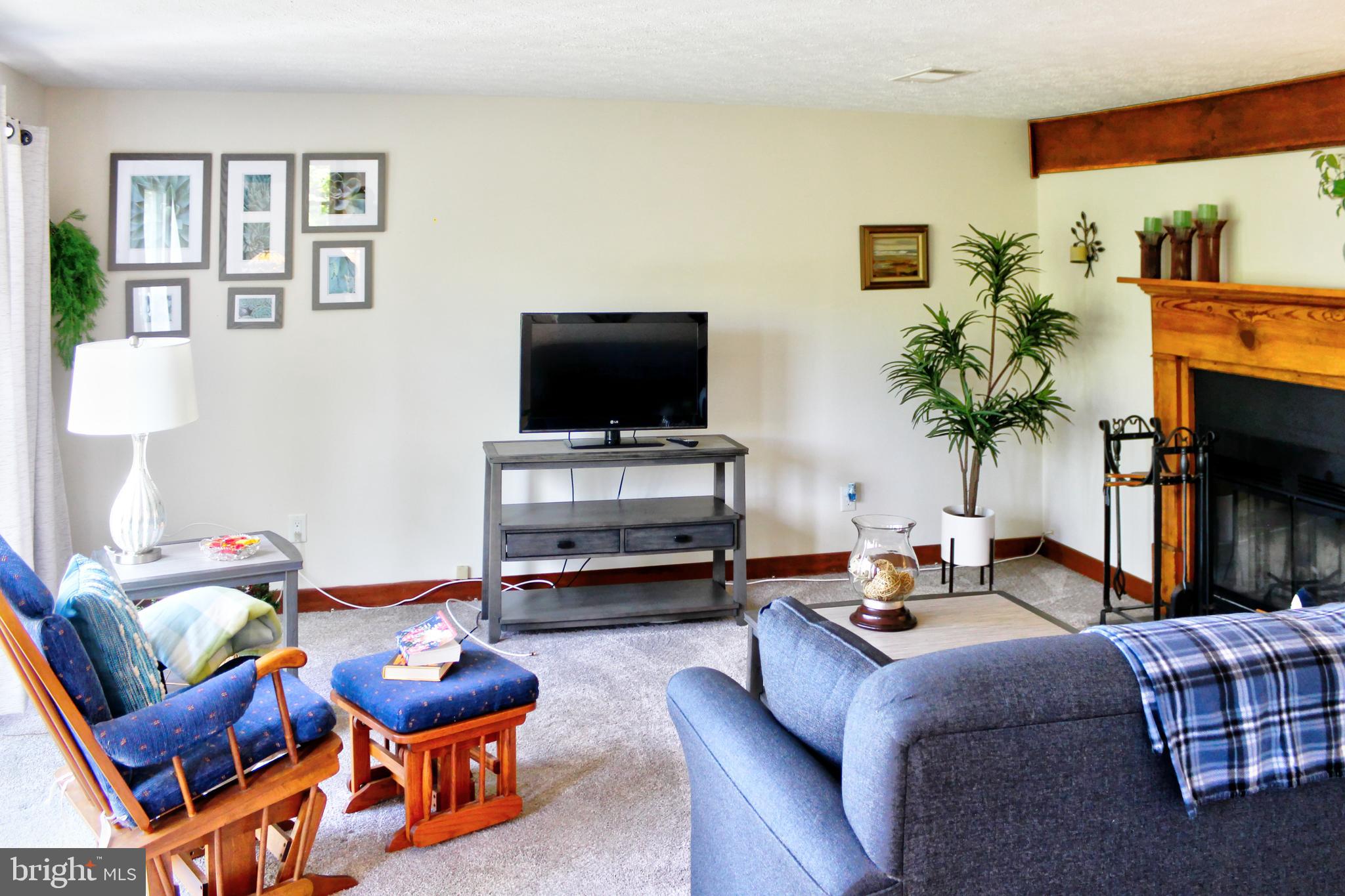 361 The Hill Road, Unit M4 Basye, VA 22810 - Photo 4 of 19 a living room with furniture and a flat screen tv with bookshelf