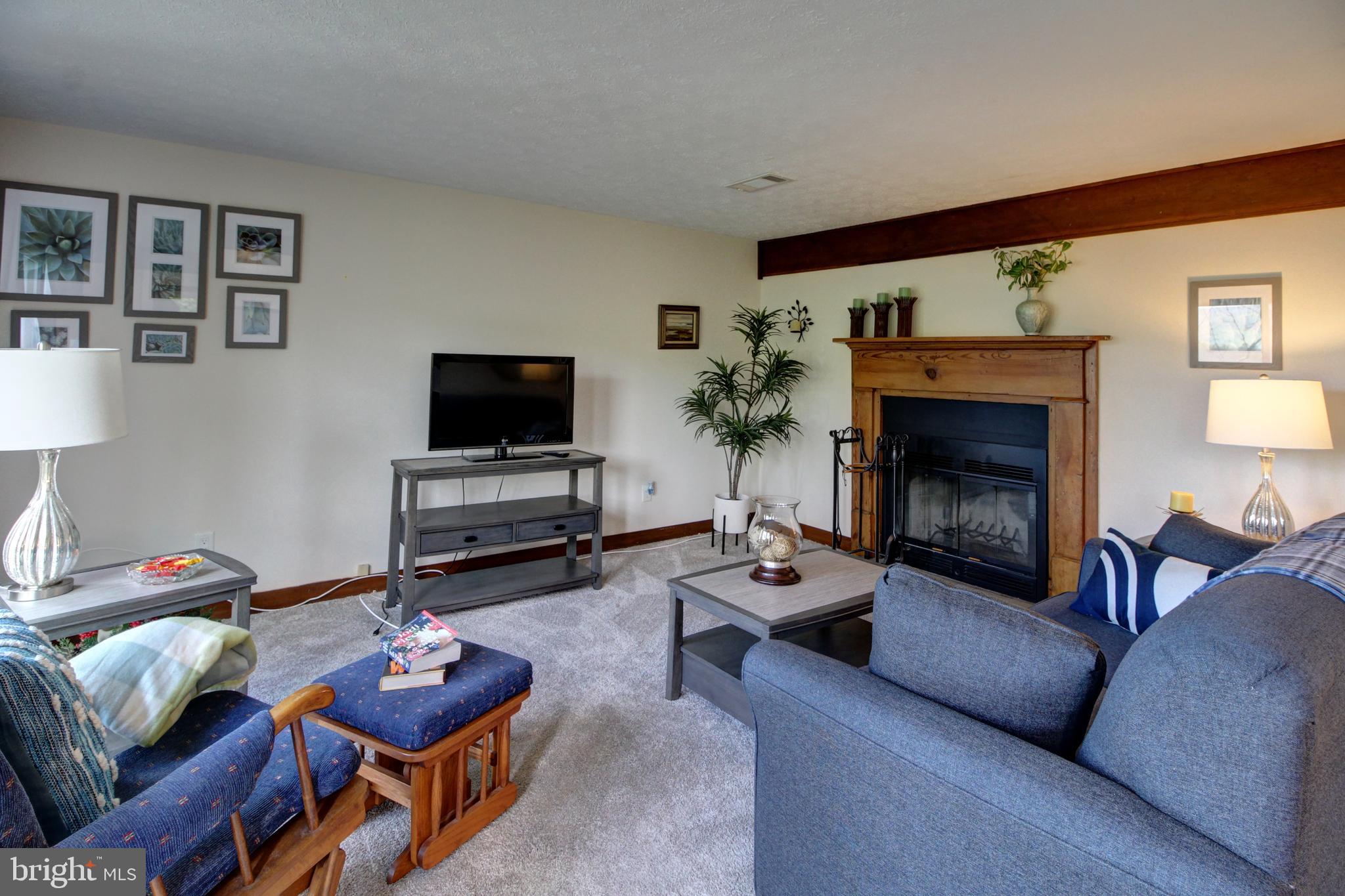 361 The Hill Road, Unit M4 Basye, VA 22810 - Photo 5 of 19 a living room with furniture and a fireplace