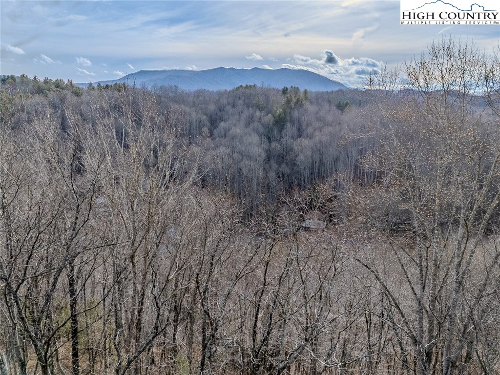 9 Haven Ridge Road Lansing, NC 28643 - Photo 11 of 22