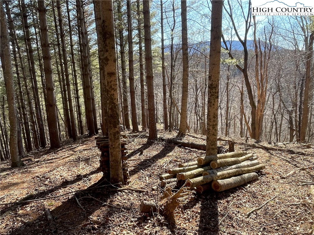 9 Haven Ridge Road Lansing, NC 28643 - Photo 12 of 22