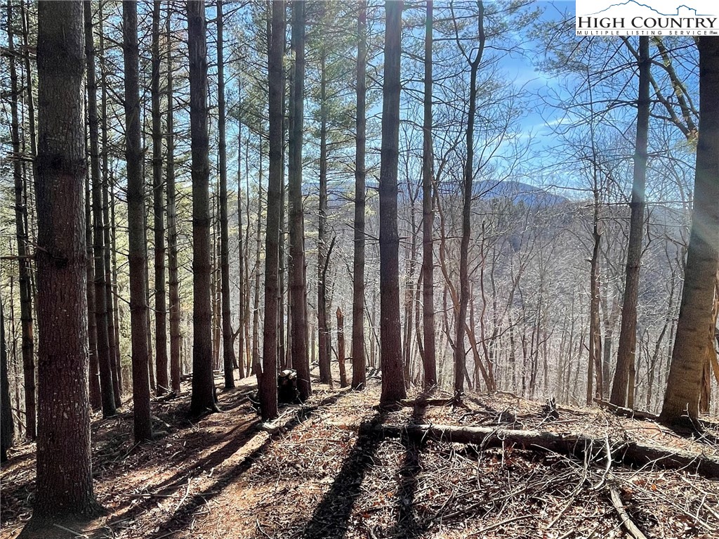 9 Haven Ridge Road Lansing, NC 28643 - Photo 13 of 22