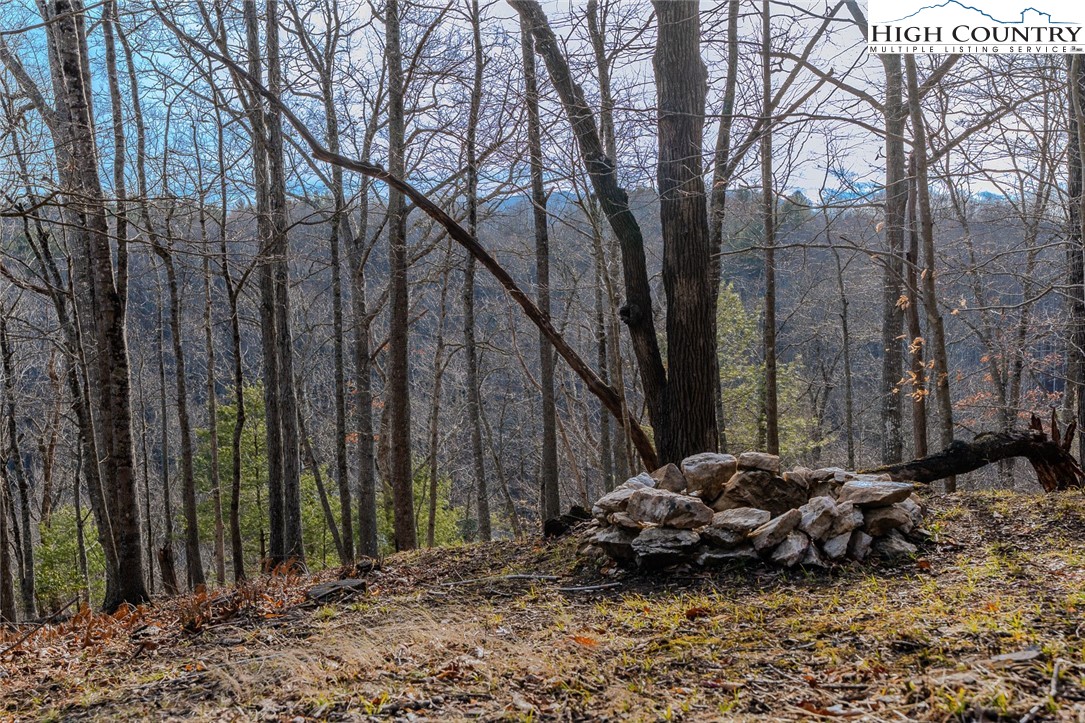 9 Haven Ridge Road Lansing, NC 28643 - Photo 15 of 22