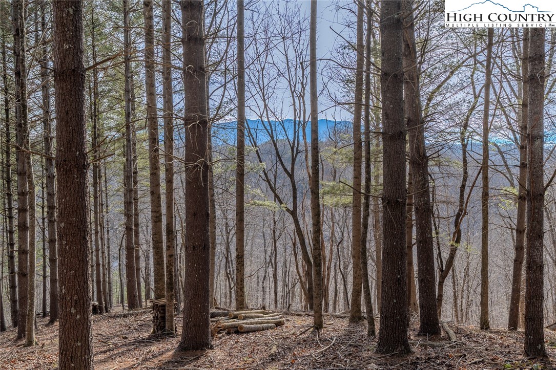 9 Haven Ridge Road Lansing, NC 28643 - Photo 2 of 22