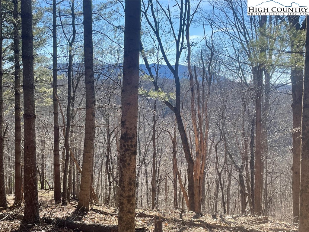 9 Haven Ridge Road Lansing, NC 28643 - Photo 3 of 22