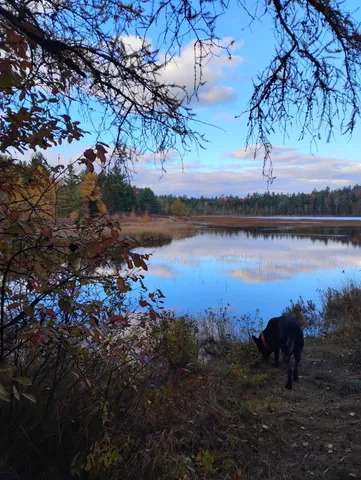 $89,900 | T22 Md Me 04622 Road, Cherryfield, ME 04622