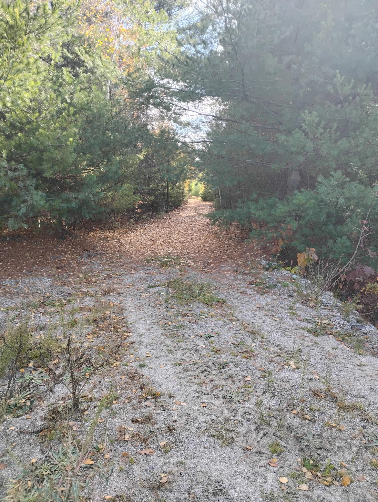 T22 Md Me 04622 Road Cherryfield, ME 04622 - Photo 3 of 6 1733808204076015286