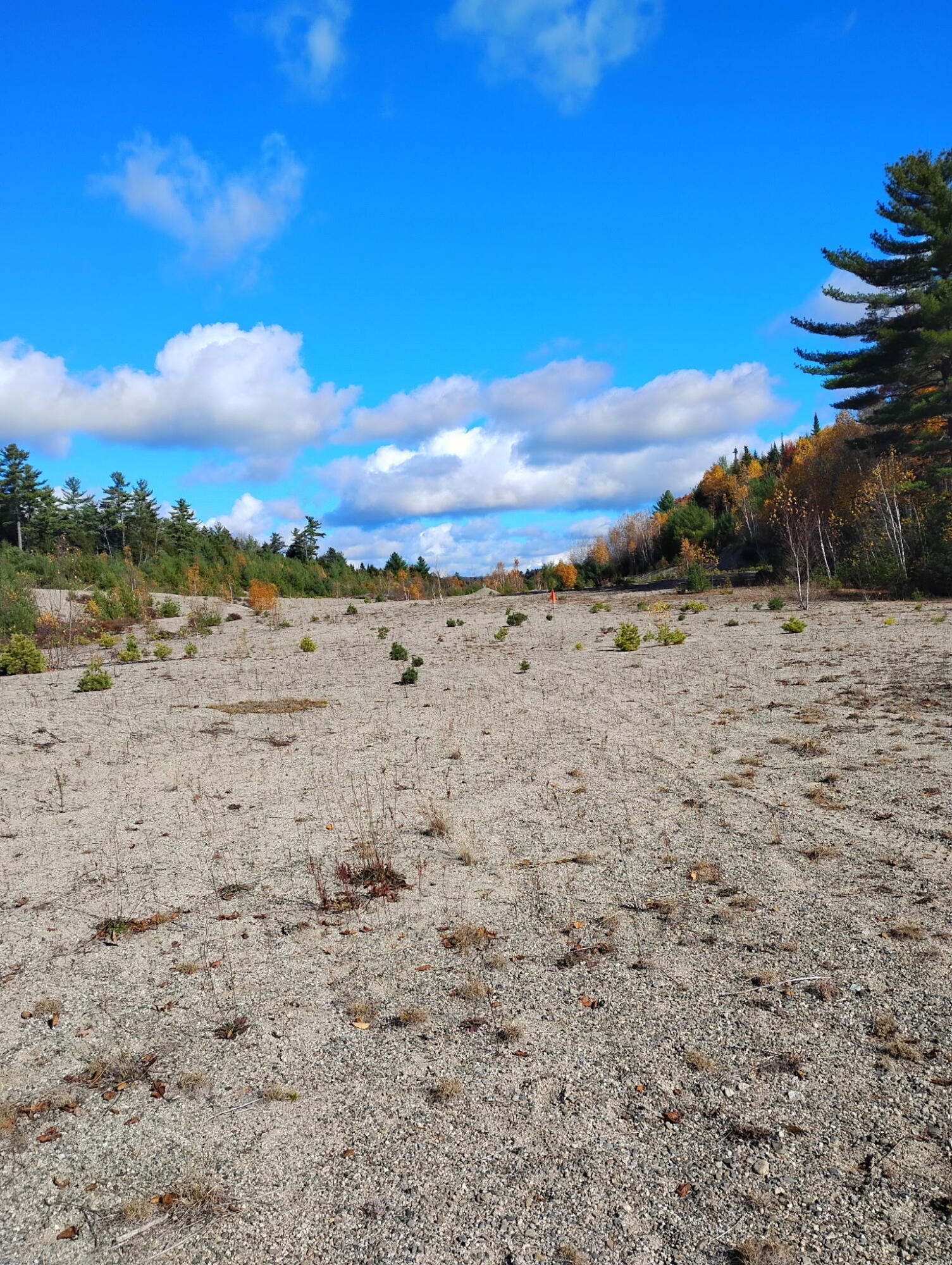 T22 Md Me 04622 Road Cherryfield, ME 04622 - Photo 5 of 6 1900062459323905101