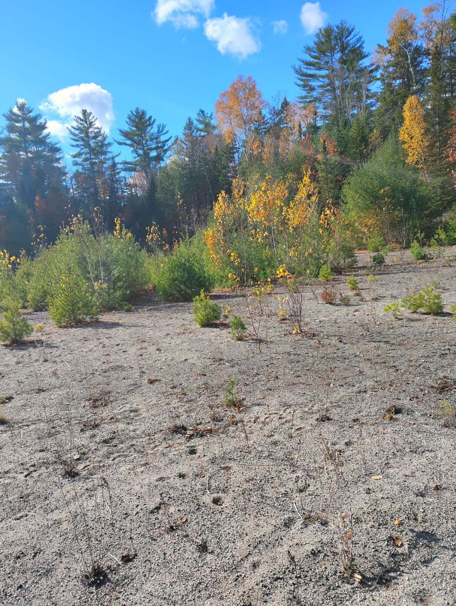 T22 Md Me 04622 Road Cherryfield, ME 04622 - Photo 6 of 6 4110548071481248648