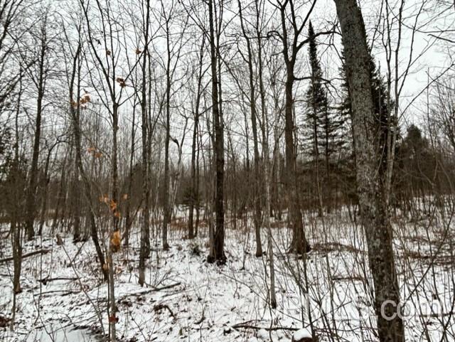 Tbd4 Larson Road Atlantic Mine, MI 49905 - Photo 20 of 41 Gallery Image 20