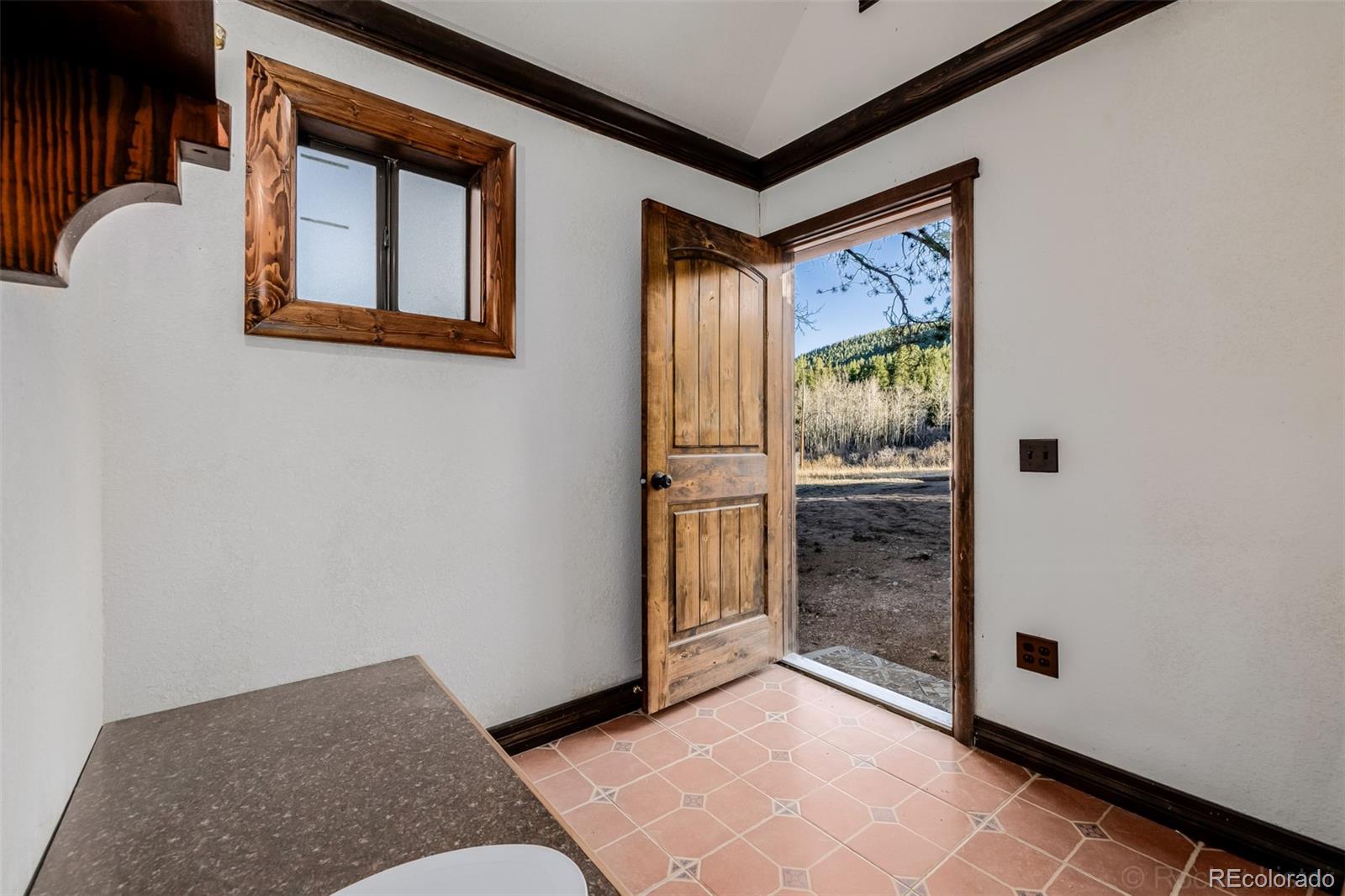 9719 Beaver Pond Conifer, CO 80433 - Photo 25 of 50