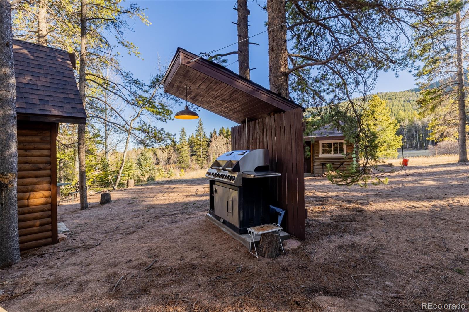 9719 Beaver Pond Conifer, CO 80433 - Photo 38 of 50
