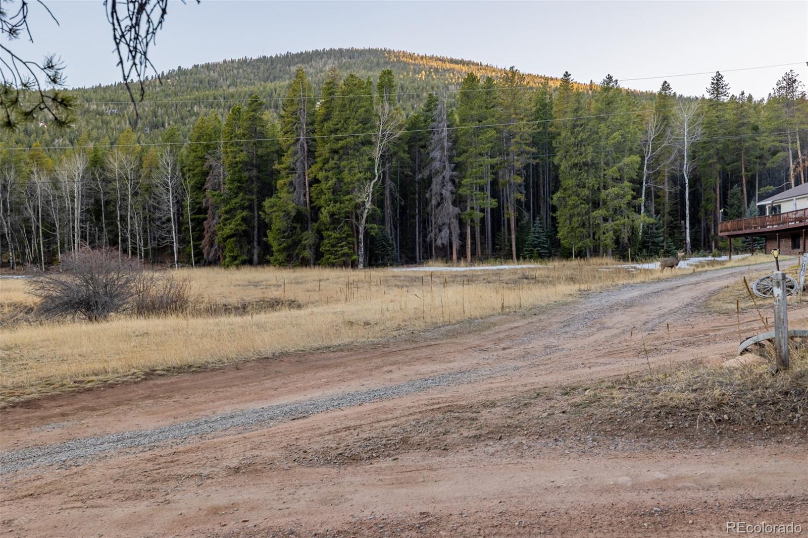 9719 Beaver Pond Conifer, CO 80433 - Photo 39 of 50 a view of a backyard of a house