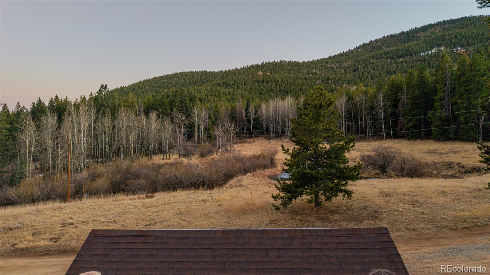 9719 Beaver Pond Conifer, CO 80433 - Photo 47 of 50