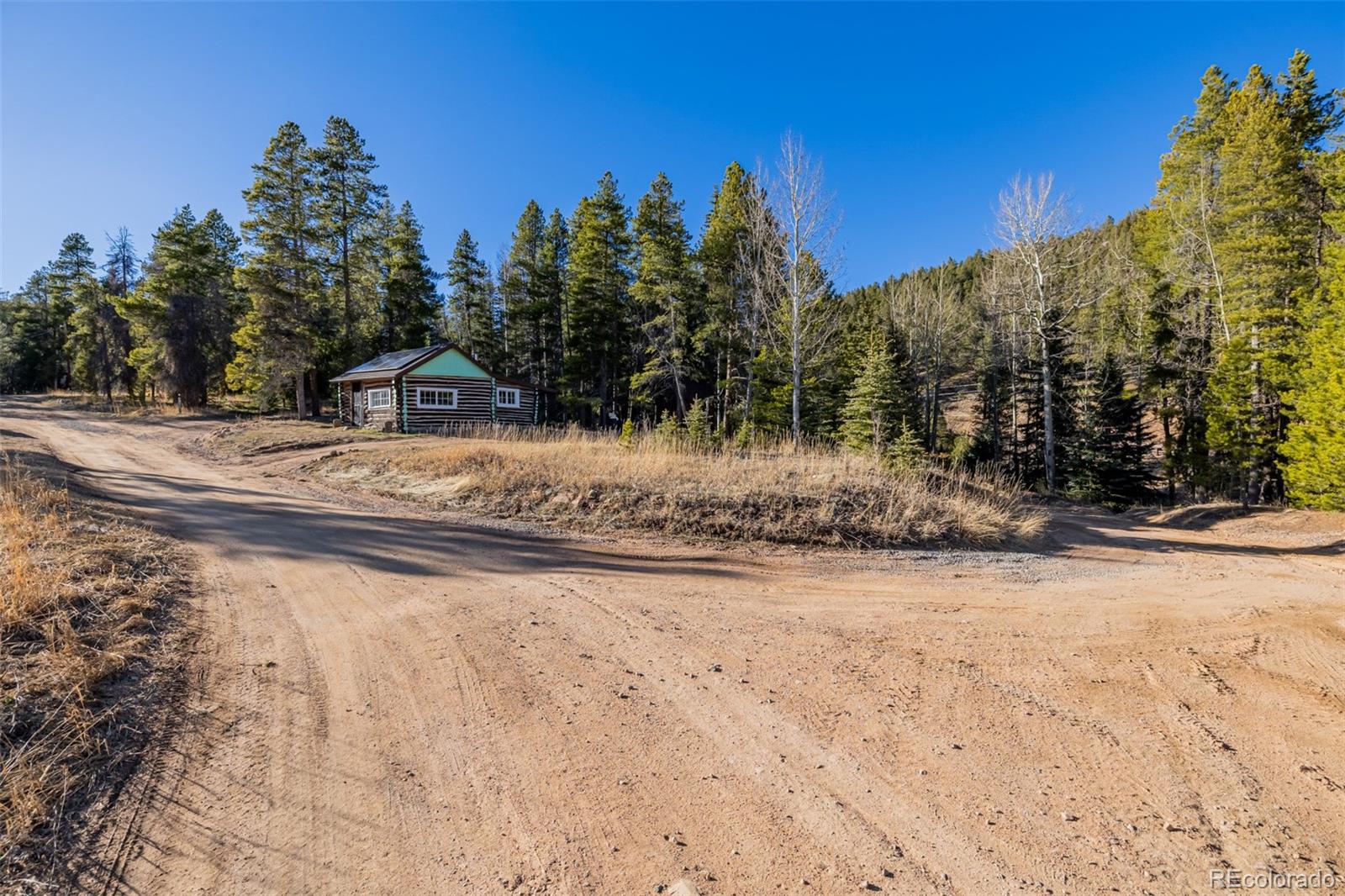 9719 Beaver Pond Conifer, CO 80433 - Photo 5 of 50 a view of a yard with snow on the road