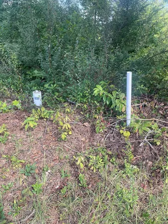 a backyard of a house with lots of green space