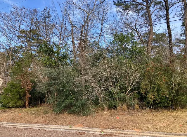 $56,780 | 12136 Goliad Lane, Willis, TX 77378