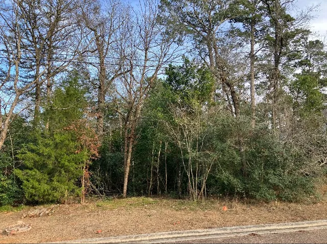 $56,780 | 12136 Goliad Lane, Willis, TX 77378