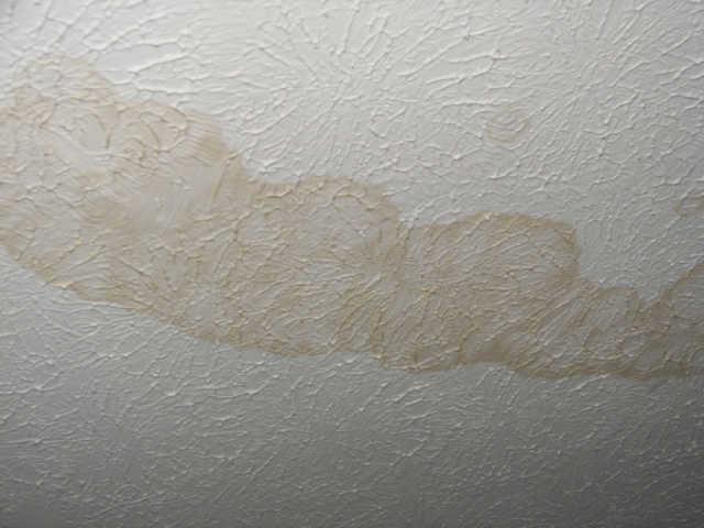 549 Windy Road Mount Juliet, TN 37122 - Photo 7 of 11 Water Leak in Bedroom