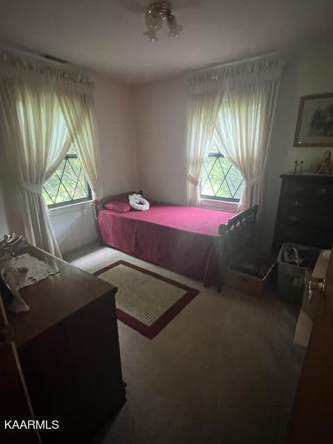 4809 Miser Station Road Friendsville, TN 37737 - Photo 9 of 17 Gallery Image 9