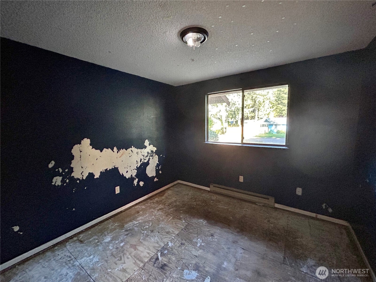 7305 38th Loop Southeast Lacey, WA 98503 - Photo 15 of 32 a view of entryway and window