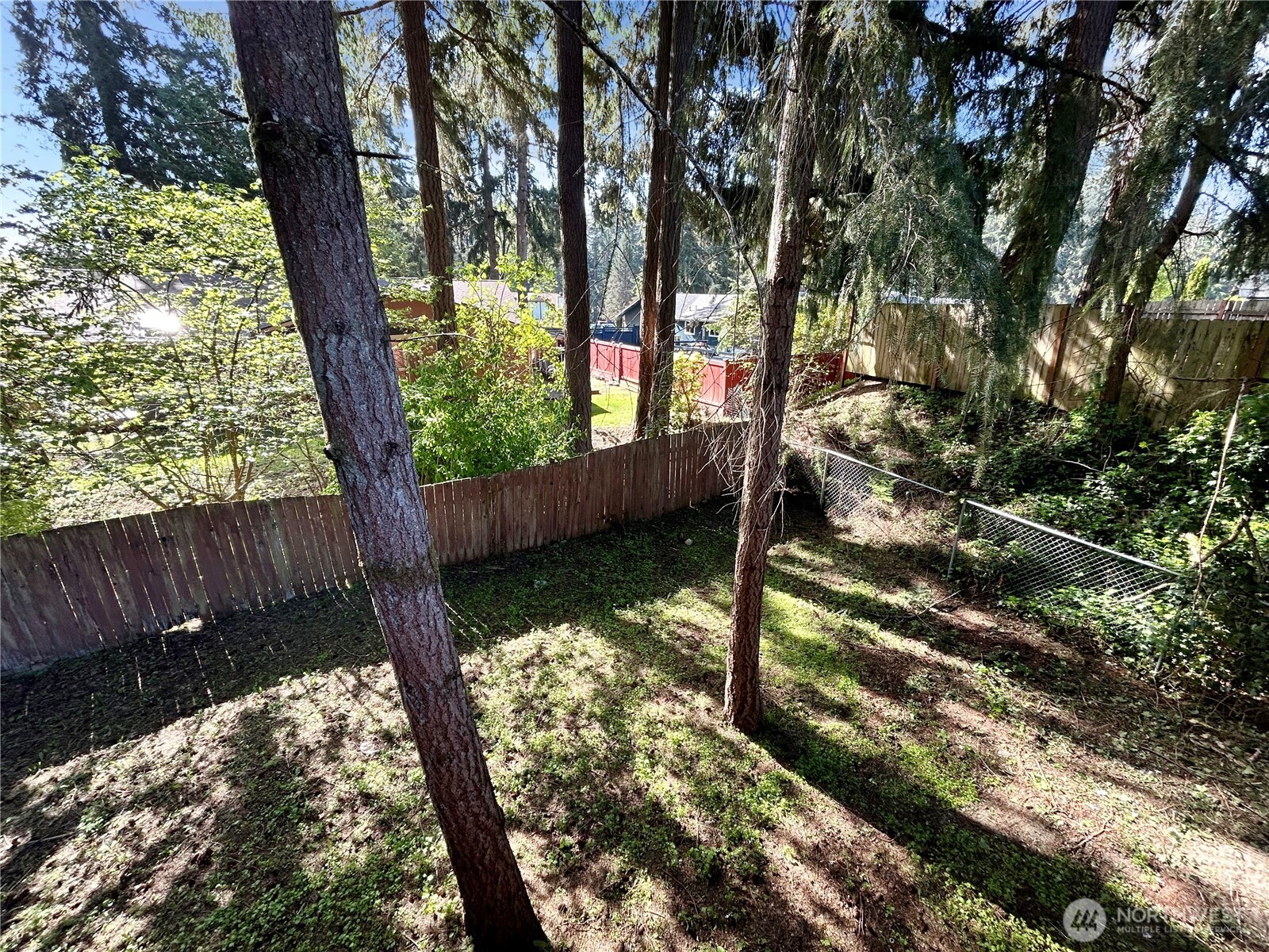 7305 38th Loop Southeast Lacey, WA 98503 - Photo 31 of 32 a view of backyard with green space