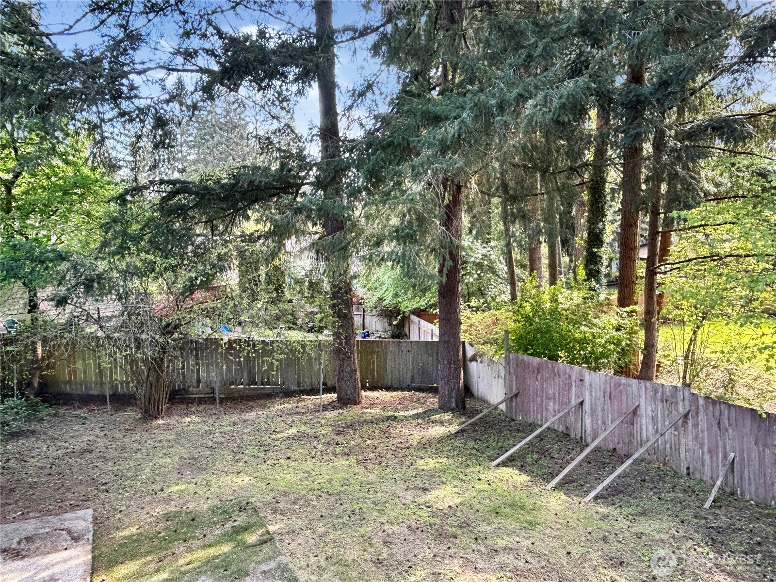 7305 38th Loop Southeast Lacey, WA 98503 - Photo 32 of 32 a view of a backyard with large trees and wooden fence