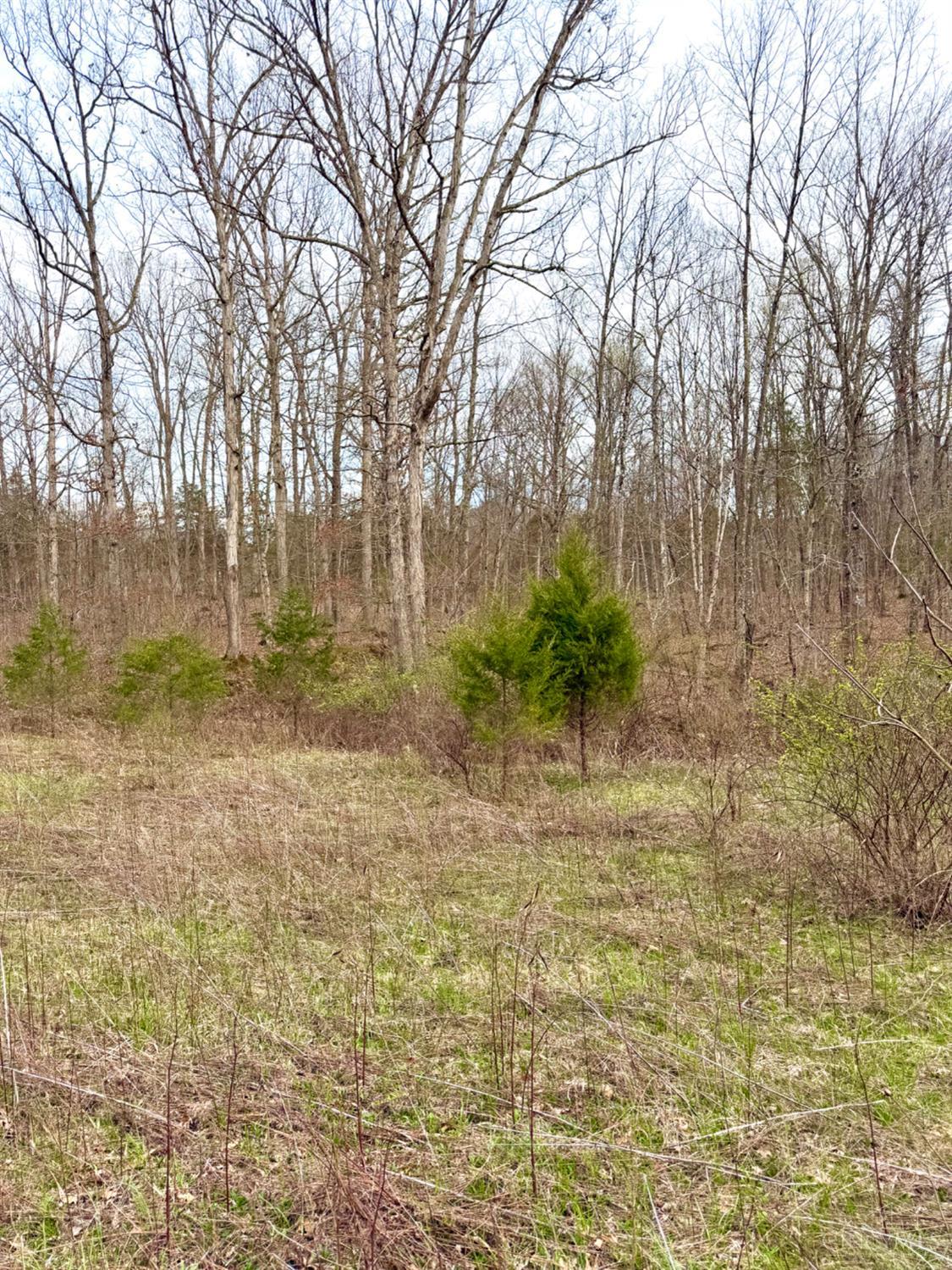 1600 Magee Jones Road Peebles, OH 45660 - Photo 20 of 91